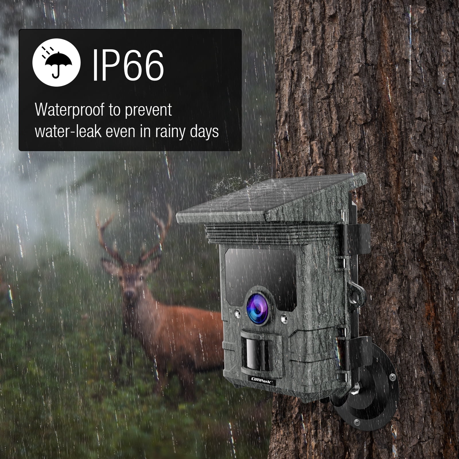 CAMPARK Solar Powered Trail Camera Native 4K 30fps 46MP WiFi Game Deer Camera 4400mAh Bluetooth Hunting Camera with Infrared Night Vision Motion Activated Waterproof Trail Cam for Wildlife Monitoring