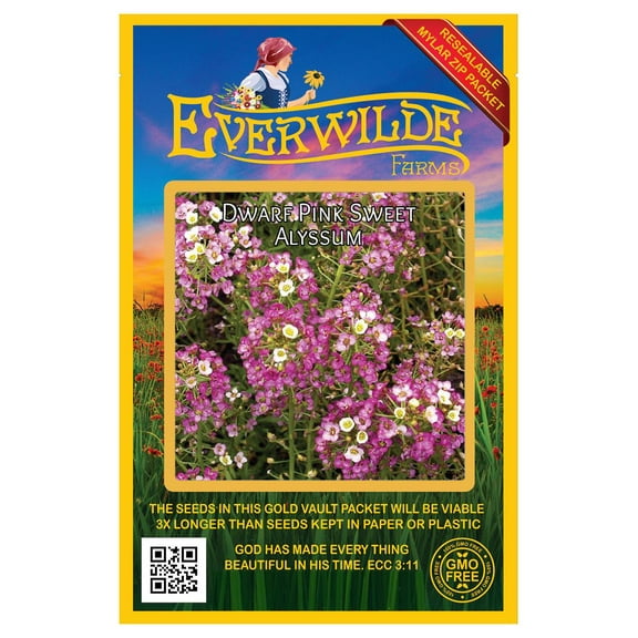 Everwilde Farms - 2000 Dwarf Pink Sweet Alyssum Garden Flower Seeds - Gold Vault Jumbo Bulk Seed Packet