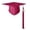 RD2, variant on Red Graduation Caps with Tassel Year Unisex Adult Graduation Cap Class of 2026 Decorations Party Hats for Adults