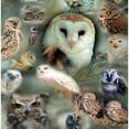 thumbnail image 2 of CafePress - Happy Owls Throw Blanket - Soft Fleece Throw Blanket, 50"x60" for All Ages, 2 of 2