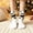 B, variant on Womens Christmas 3D Crochet Reindeer Crew Socks Cotton Novelty Holiday Gift
