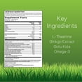 thumbnail image 3 of Irwin Naturals Healthy Brain All-Day Focus - 60 Liquid Soft-Gels - Boosts Mental Performance & Promotes Long-Term Brain Health - 30 Servings, 3 of 9