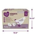 Parent's Choice Diapers, Size 1, 416 Diapers (Mega Box)