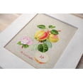thumbnail image 6 of The Dutch Codlin BA22440L Counted Cross-Stitch Kit, 6 of 12