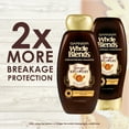 thumbnail image 6 of Garnier Whole Blends Ginger Recovery Strengthening Shampoo, 22 fl oz, 6 of 8