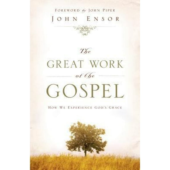 Pre-Owned The Great Work of the Gospel: How We Experience God's Grace (Paperback) 1581347731 9781581347739