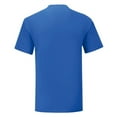 thumbnail image 2 of Fruit of the Loom Mens Iconic 150 V Neck T-Shirt, 2 of 4