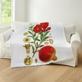 thumbnail image 5 of CafePress - Vintage Pomegranate Throw Blanket - Soft Fleece Throw Blanket, 50"x60" for All Ages, 5 of 5