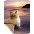 thumbnail image 1 of Beach Beauty Kitty Cat, 1 of 3