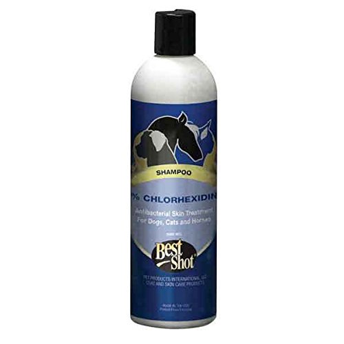 Chlorhexidine Shampoo Dogs