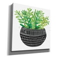 thumbnail image 2 of Epic Graffiti 'Mud Cloth Succulent V' by Cindy Jacobs, Canvas Wall Art, 12"x12", 2 of 2