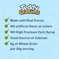 Teddy Grahams Chocolate Graham Snacks, 10 oz