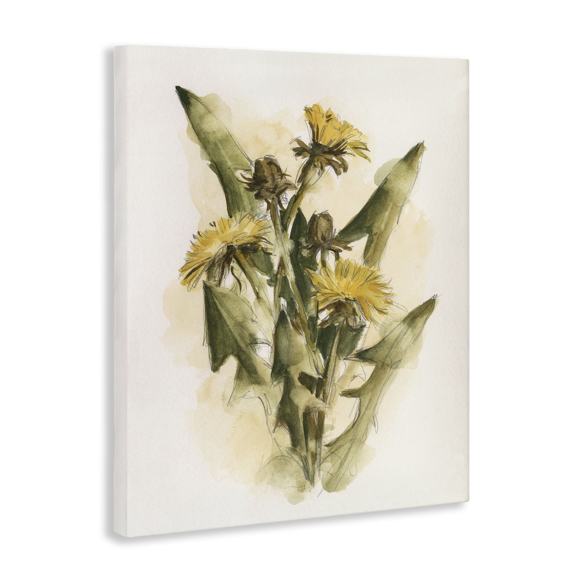 Stupell Industries Cottage Buttercup Flowers Botanical & Floral Painting Gallery Wrapped Canvas Art Print Wall Art, 16 x 20