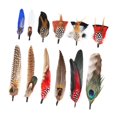 thumbnail image 1 of Disfraz de sombrero de plumas de vaquero para sombrero Fedora, 1 of 10