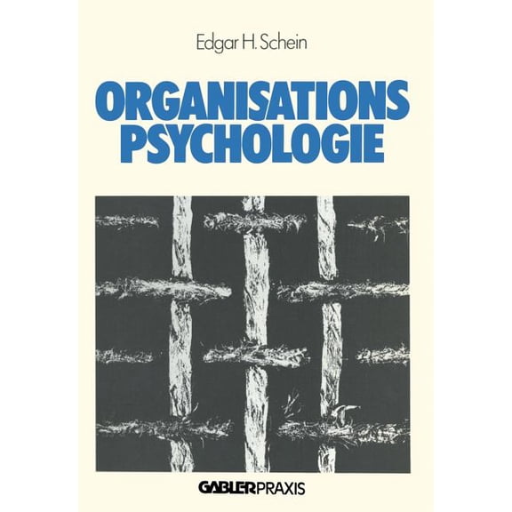 FÃ¼hrung - Strategie - Organisation Organisationspsychologie, (Paperback)