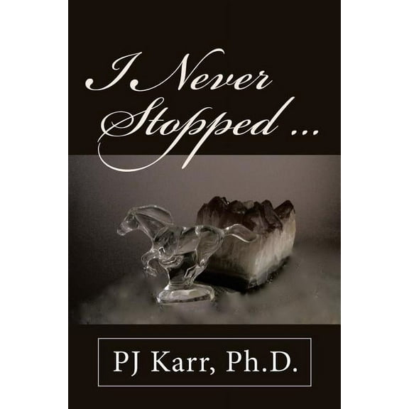 I Never Stopped . . . (Paperback)