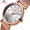 Rose Gold, variant on MINI FOCUS Fashion Women Watches Top Brand Luxury Ladies Wristwatches Reloj Mujer Montre Femme Silver Stainless Steel Mesh Strap