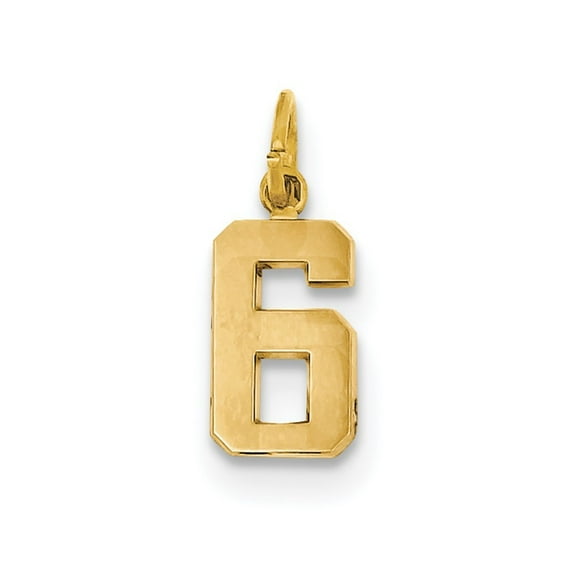 14k Yellow Gold Small Polished Number 6 Charm - .9 Grams - Measures 20.2x7.8mm