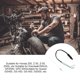 thumbnail image 5 of sweethay Interruptor de luz de freno trasero para motocicleta, juego de resorte de Cable de freno portátil de plástico para motocicleta Accesorios para motos sweethay VI000968-00, 5 of 6