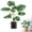 Hot Pink, variant on Artificial Green Plant Has Nine and Six Heads and Leaves Reminiscent Of A Turtle'S Back, Including As Wall Coverings, Houseplants, Interior Decorations, and Floor Decorations