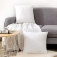 thumbnail image 3 of Housse de Coussin, Ensemble de 2 Housses de Coussin en Velours avec Fermeture Éclair Cachée, Coussin Décoratif Cadeau, 3 of 5