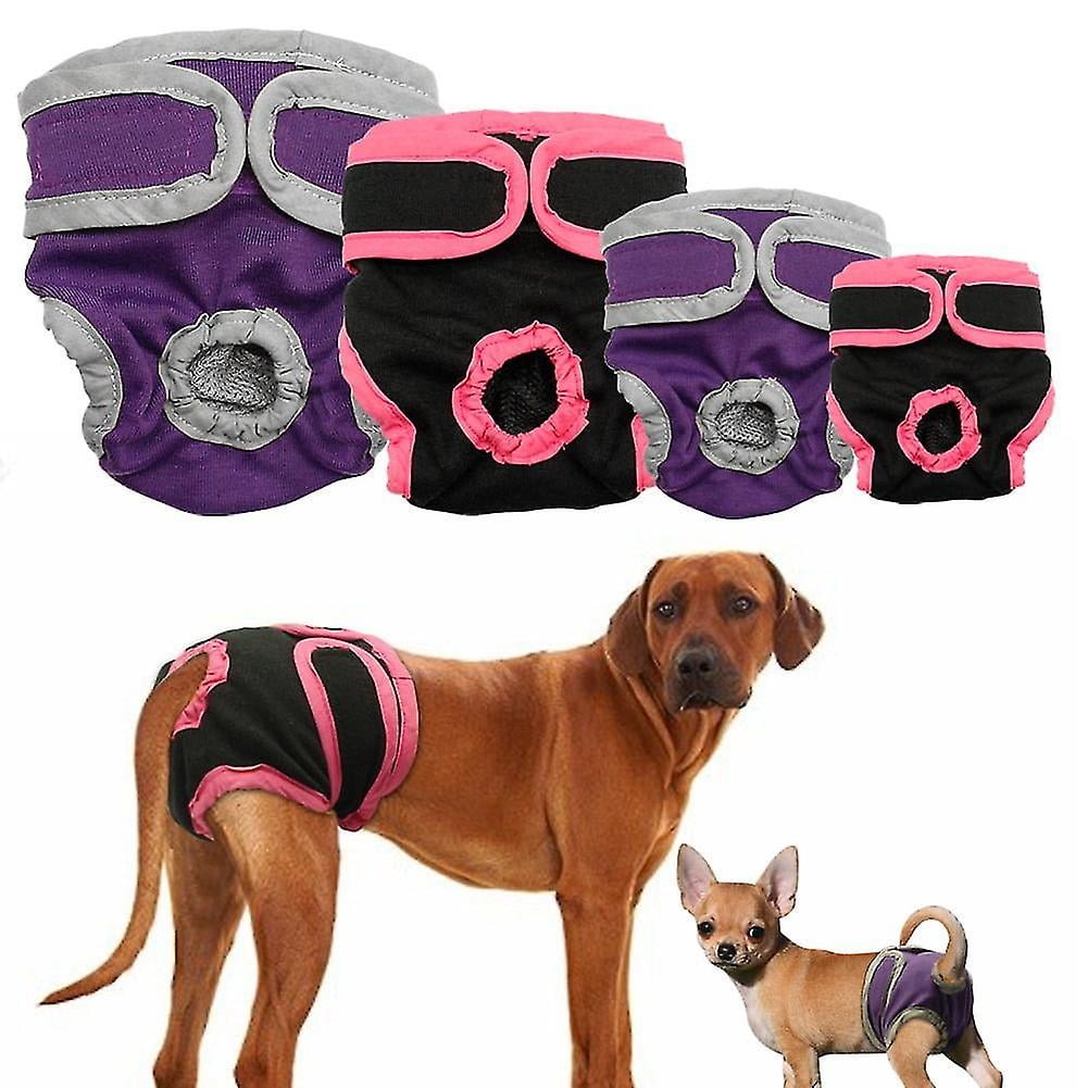 Dog diapers for female dachshunds hot sale