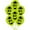 Kooky Vampire Lime Green, variant on PMU Halloween Laughing Faces Balloons - Small Latex Balloons for Halloween Theme Parties, Trick-or-Treat & Party Favors Supplies - 12 Inch Kooky Vampire Lime Green, (12/Pkg) Pkg/1