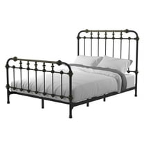 Furniture of America Cecil Transitional Metal Bed King Spindle in Antique Black