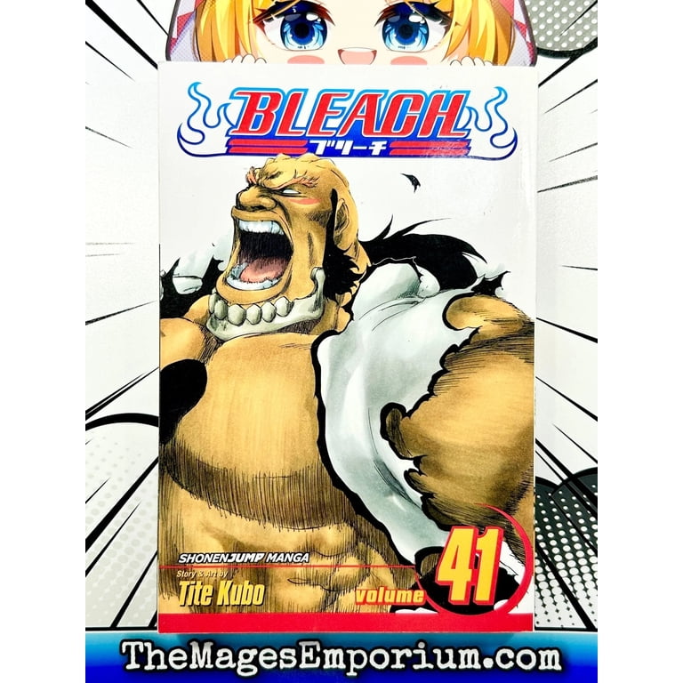 Bleach Bleach, Vol. 41, (Paperback) - Walmart.com