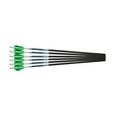 thumbnail image 1 of Excalibur PROFLIGHT Flèches Crossbow de 18 Po, Lot de 6, 1 of 1