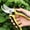 Yellow, variant on Pruning Shears for Gardening,Ultra Sharp Garden Scissors Garden Shears, Garden Pruning Shears Stainless Steel Blades Handheld Pruners Bypass Pruning Shears For Your Garden