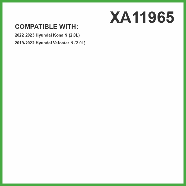 ECOGARD XA11965 Premium Engine Air Filter Fits 2019-2022 Hyundai Veloster N, 2022-2023 Kona N