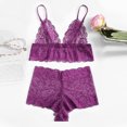 thumbnail image 2 of Conjunto de lencería HUOGUO Fashion para mujer, talla grande, encaje y pestañas, 2 of 2