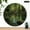 10x10in, variant on Patifu Serene Forest Pool Mossy Rocks Wooden Wall Clock 10 Inch Silent Sweep Movement 10x10in