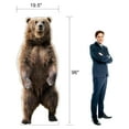 thumbnail image 2 of Life Size Cardboard Cutout Standup | Waterproof | Animals - Brown Bear, 2 of 2