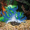 thumbnail image 1 of Acuario Decoraciones Accesorios Plantas Cueva Peces Casa - Pecera Decoración Árbol Peces Escondites, Plantas artificiales Adornos de resina azul Macarena Acuario de coral decorativo, 1 of 8