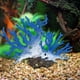 thumbnail image 1 of Rama de Coral de simulación para adornos de pecera, rama seca de Coral marino en forma de para decoración de acuario de Hotel de fiesta de bod azul Baoblaze Acuario de coral decorativo, 1 of 8