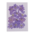 thumbnail image 4 of Paquete de 12 flores secas prensadas en seco, hojas de flores naturales prensadas para manualidades de uñas Púrpura, 4 of 9