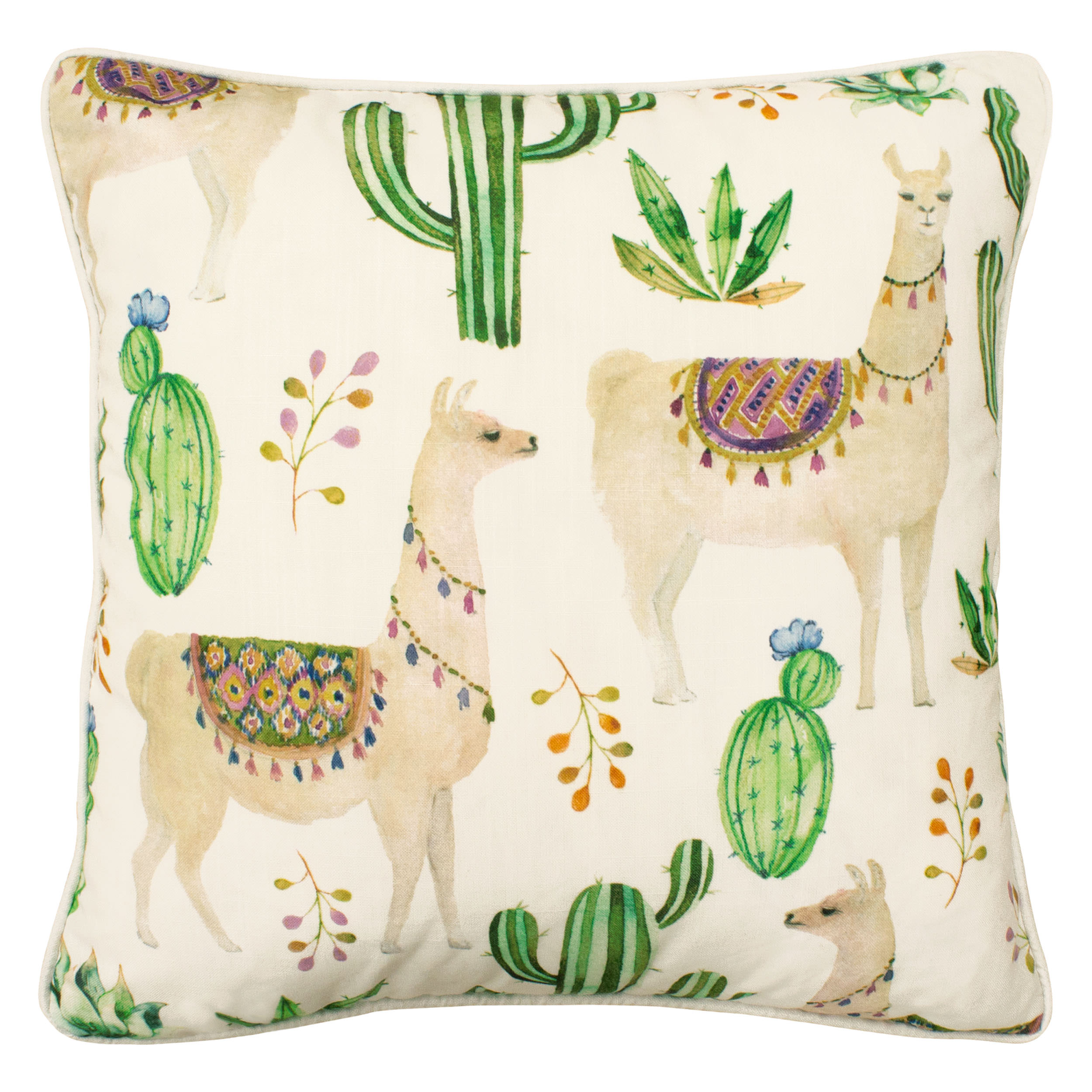 Boho Living Andes Decorative Pillow