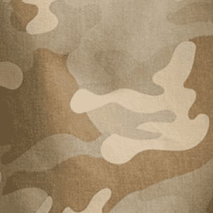 Desert Camo