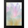 thumbnail image 2 of Mahan, Kathy 11x14 Black Modern Framed Museum Art Print Titled - Dahlia Blossom II, 2 of 5