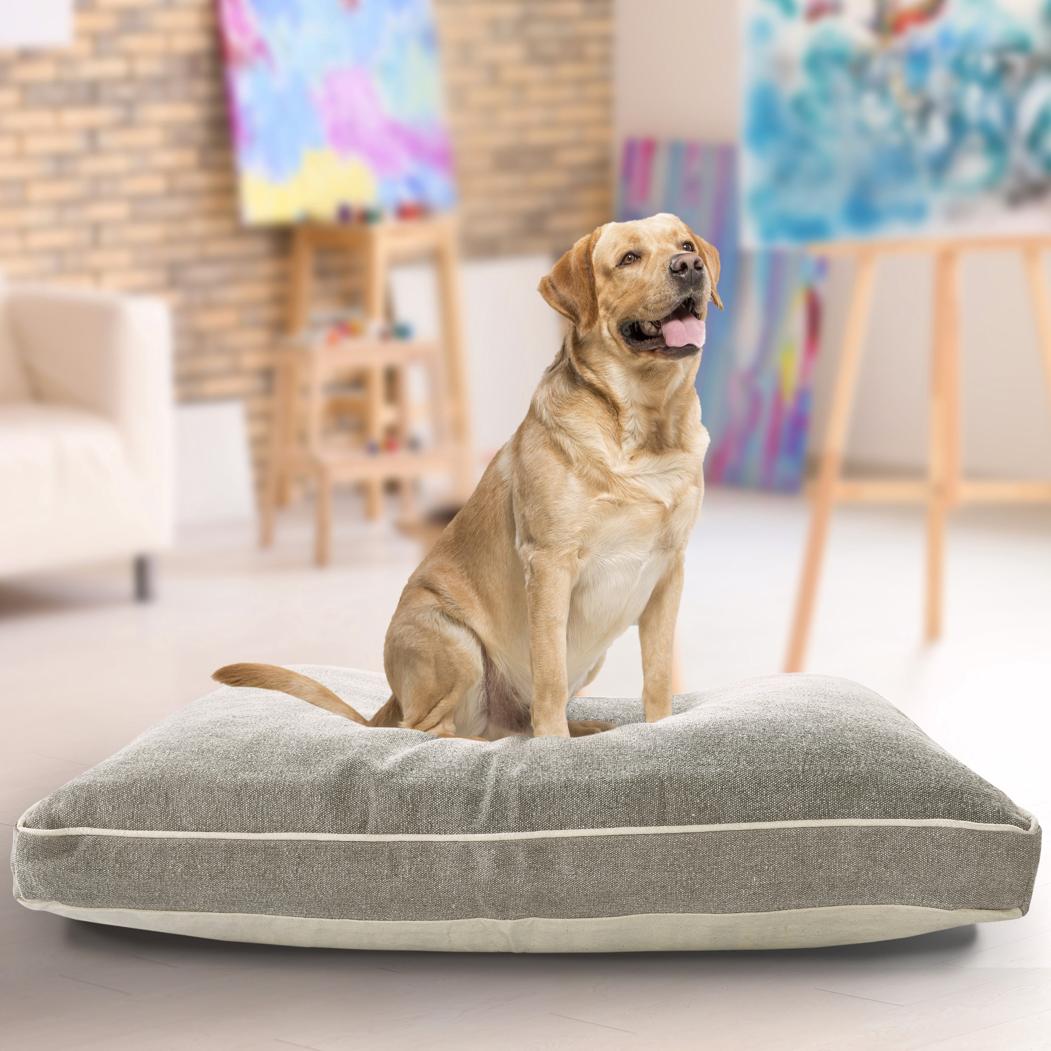Lr Home Solid Stonewash Pillow Dog Bed, Gray, Ivory, 24" x 36" x 3"