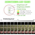 thumbnail image 4 of Plant Grow Light LED Growing Light Full Spectrum for Indoor Plants Height Adjustable Automatic Timer V Low Voltage Idea for Large Plant Light, 4 of 6