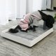 thumbnail image 3 of Bandeja para orinal para perros Salvador con poste vertical limpia y lavable L, 3 of 9