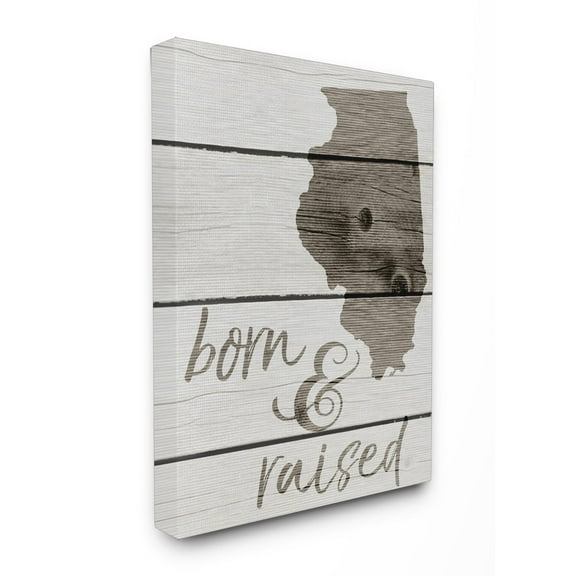 Stupell  Born And Raised Illinois Stretched Canvas Wall Art 24 x 30