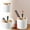 White, variant on Makeup Brush Cup with Weighted Base and Removable Dividers for Secure Desktop Storage
