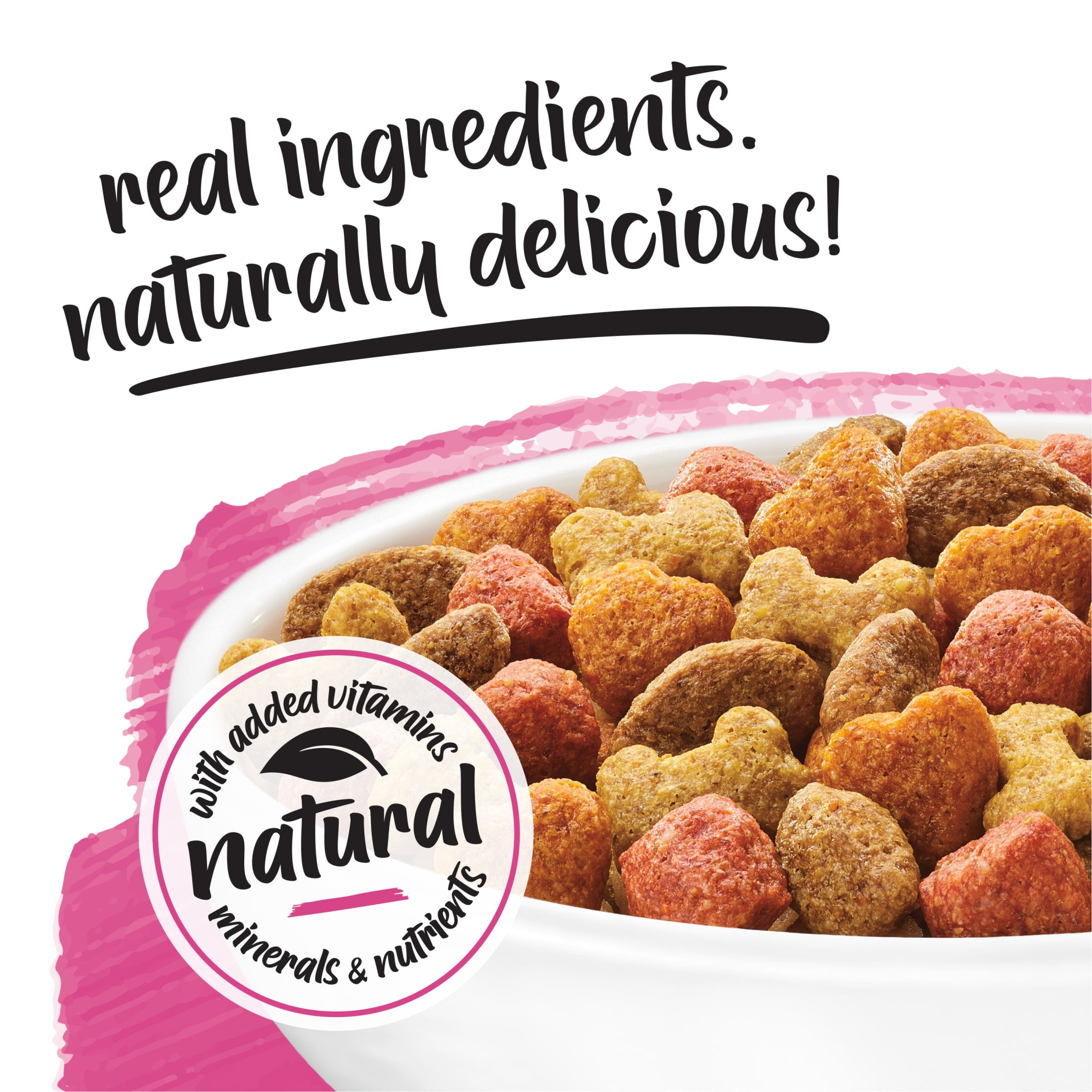 beneful salmon dog food review