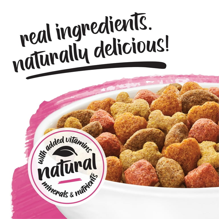 Beneful Originals with Real Salmon Dry Dog Food 28-lb