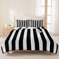 thumbnail image 3 of Queen Quilt Set 90''x96'', Black Striped Lightweight Bedspread Coverlet Set with 2 Pillow Shams, Modern Farmhouse Black and White Stripes Breathable All Season Quilt Bedding for Bedroom/Guest Room, 3 of 9
