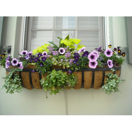 Canvas Print Architecture Window Box Window Box Flowers House Stretched Canvas 10 x